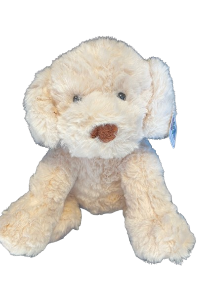 IMG_3215-removebg-preview