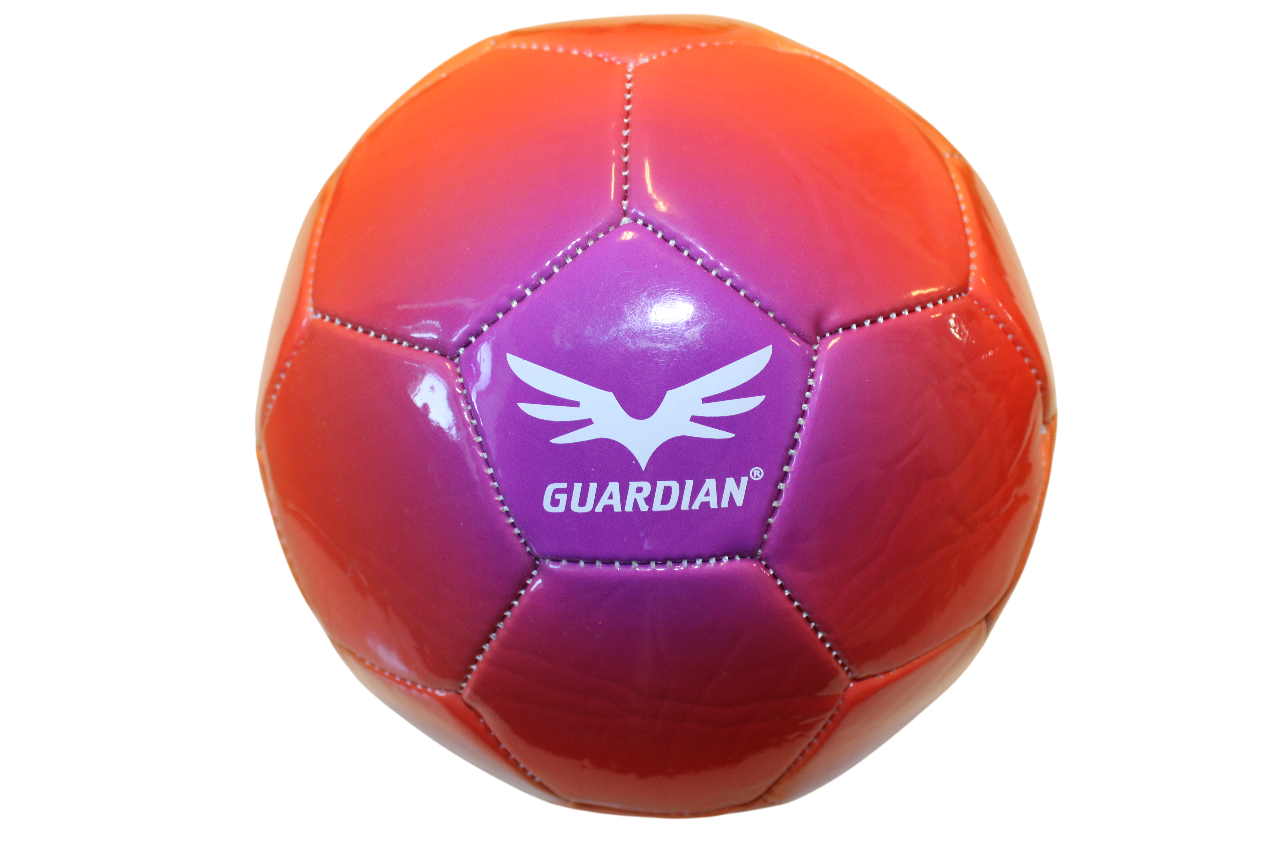 Guardian Rainbow fodbold str. 4